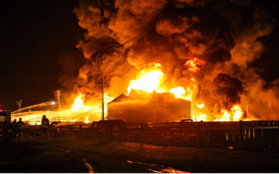 In the Ground and on the Wall